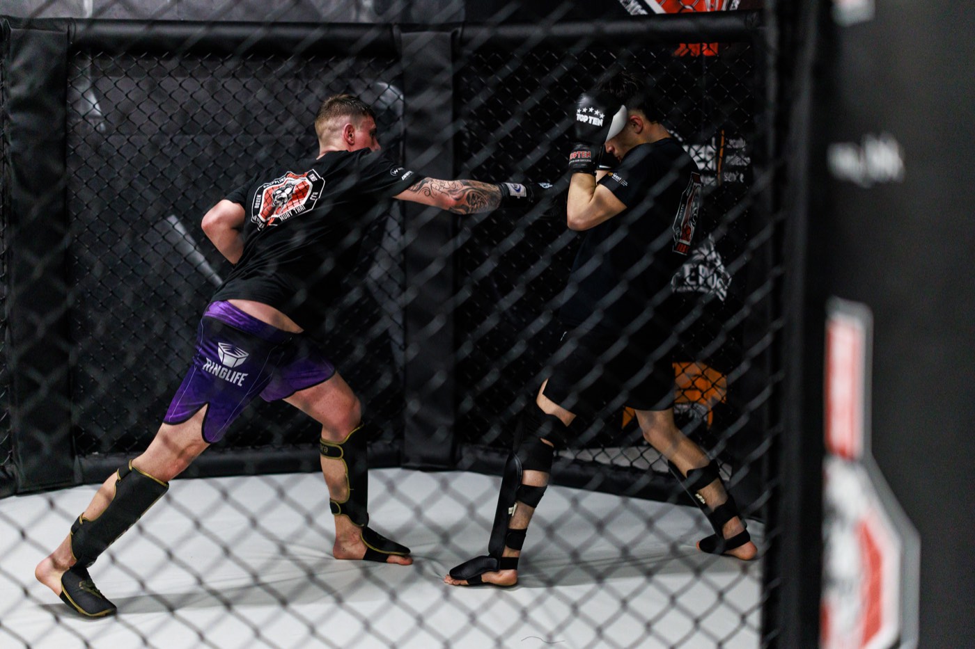 MMA Elite Sparring im Cage mit Kick und Handschuhen